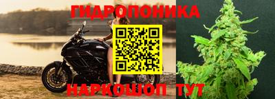скорость Будённовск